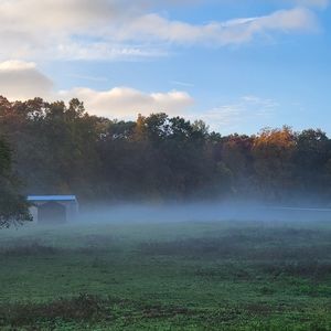 Meet your Posher, Callie